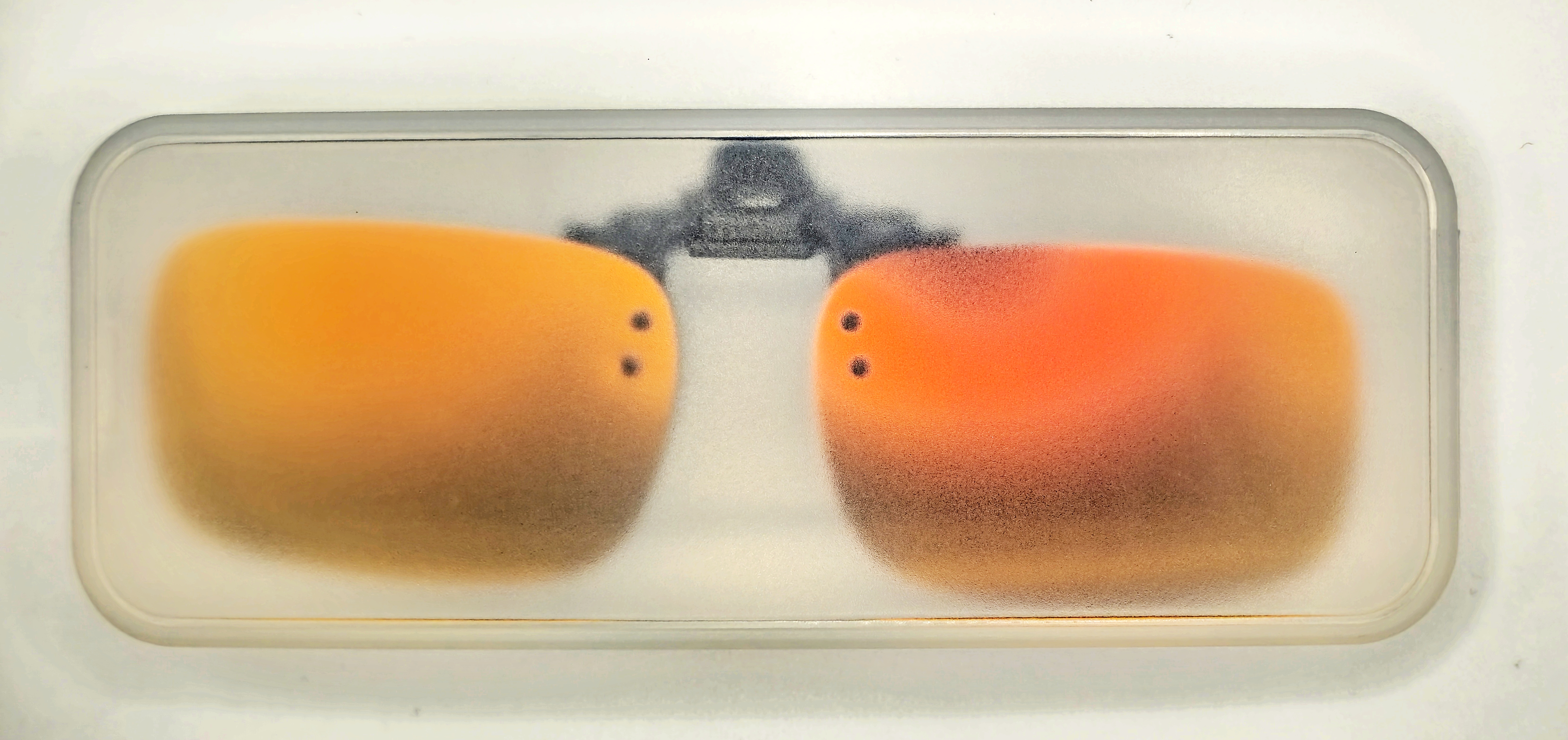 QiiM P-15 polarizační klips | Červený polarizační klip | Klip na brýle s pouzdrem